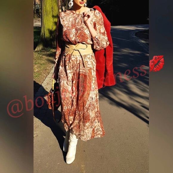 ZARA Paisley Printed Midi Dress - Picture 4 of 8
